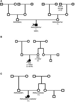 The phenotypic and genetic features of arrhythmogenic cardiomyopathy in the pediatric population